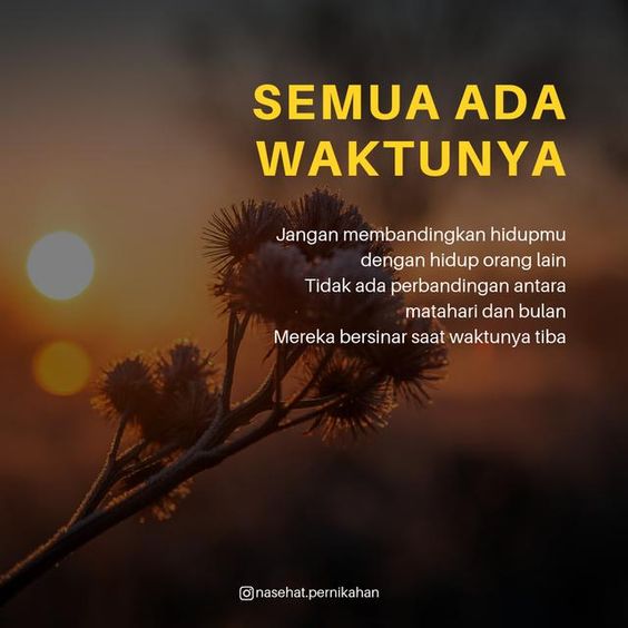 182a8b5fe8ea17b8586fdc7b6c6dba9d