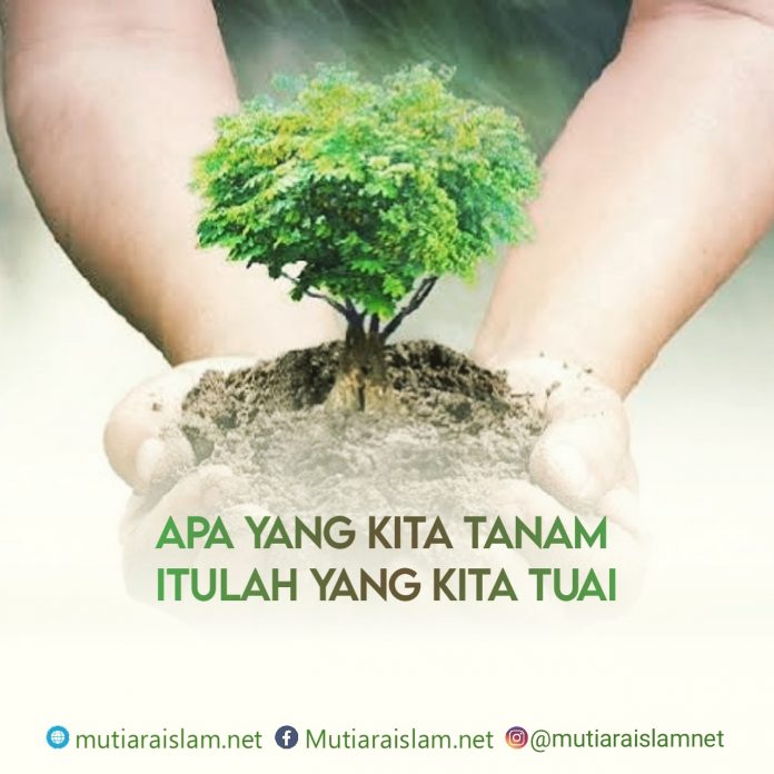 quote-islami-13-696x696