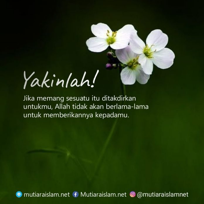 quote-islami-34-696x696